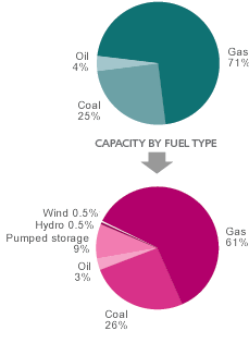 Pie charts displaying capacity by fuel type of the International Power portfolio